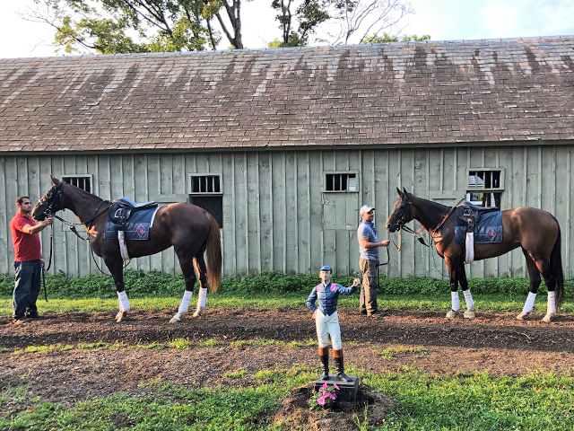 Yaddo Stakes 2018